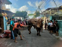 Masjid Alkahfi Pandean Kota Malang, Potong 49 Hewan Kurban