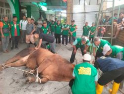 Masjid Alkahfi Pandean Kota Malang, Potong 49 Hewan Kurban