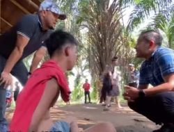 Perkebunan Sawit di Medan Dijadikan Tempat Sarang Narkoba, Polisi Tangkap Pelakunya