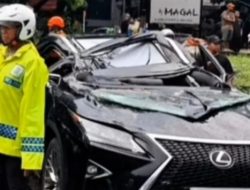 Akibat Angin Kencang Mobil Mewah Ringsek Tertimpa Pohon Pengemudi Tewas