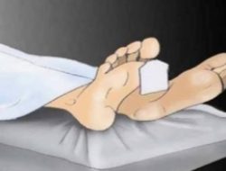 Seorang Pelaku Curanmor Tewas Setelah Dihajar Warga di Cengkareng