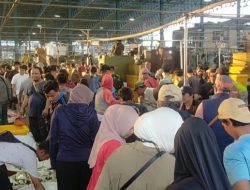 Stok Ikan di Pasar Grosir Muara Angke Jelang Malam Tahun Baru Aman