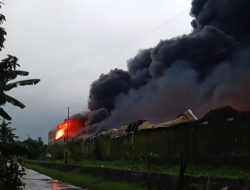 Pabrik Busa di Jepara Dilumat si Jago Merah 2 Karyawan Terkena Luka Bakar