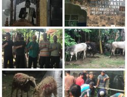 Sholat Idul Adha 1447 H/ 2026 M Masjid Nurul Huda Purna Bhakti Sari Rejo Polonia Medan Berlangsung Khidmat