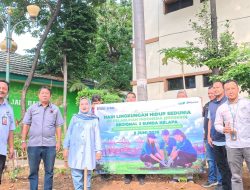 Peringati Hari LH Dunia, PT Pelindo R2 Sunda Kelapa Beri Bantuan 250 Bibit Pohon ke Wilayah Penjaringan