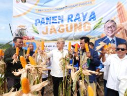 Menko Bidang Pangan Dorong Peningkatan Produksi Jagung Nasional,Panen Raya Gorontalo Hasilkan 210 Ton