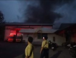 Kebakaran Pabrik Cat dan Thinner di Kalideres Terbakar, 80 Petugas Pemadam Berhasil Padamkan Api