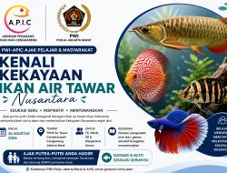Pokja PWI Jakarta Barat Bersama APIC Gelar Edukasi Ikan Tawar Kepada Siswa TK, SD dan Masyarakat