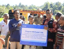 Dukung Sektor Pertanian, BRI Padang Panjang Salurkan Bantuan untuk Petani Kayu Tanam